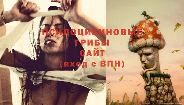 сатива Покров