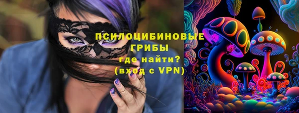 первитин Покачи