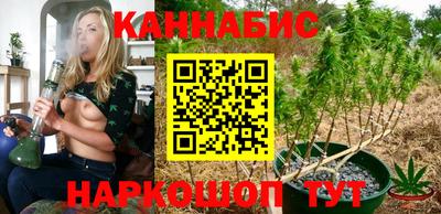 гашик Новодвинск