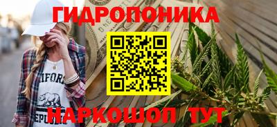 гашик Новодвинск