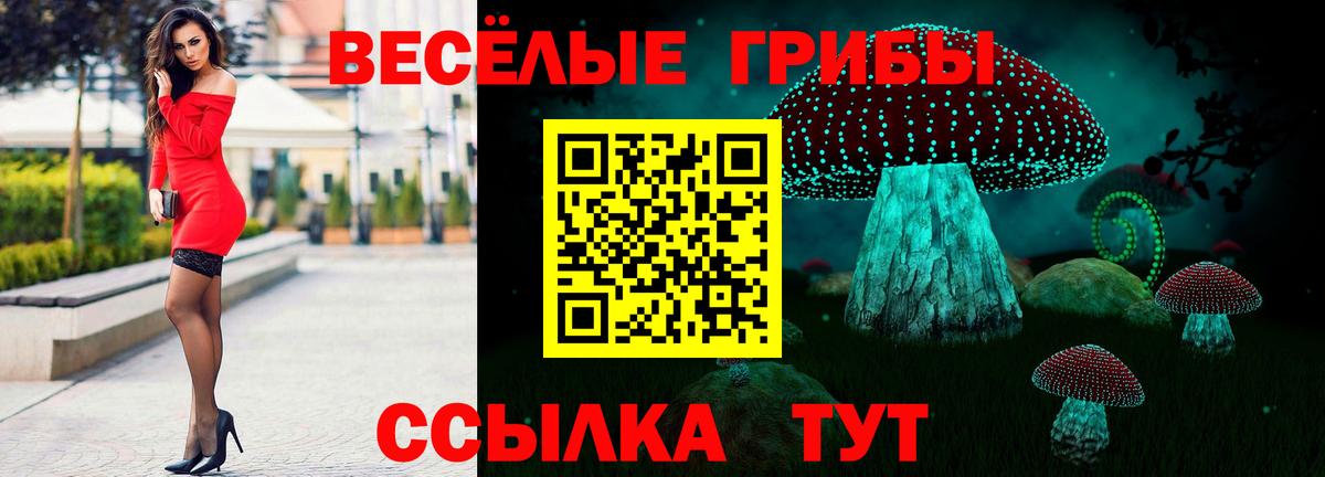 Галлюциногенные грибы Psilocybe Янаул