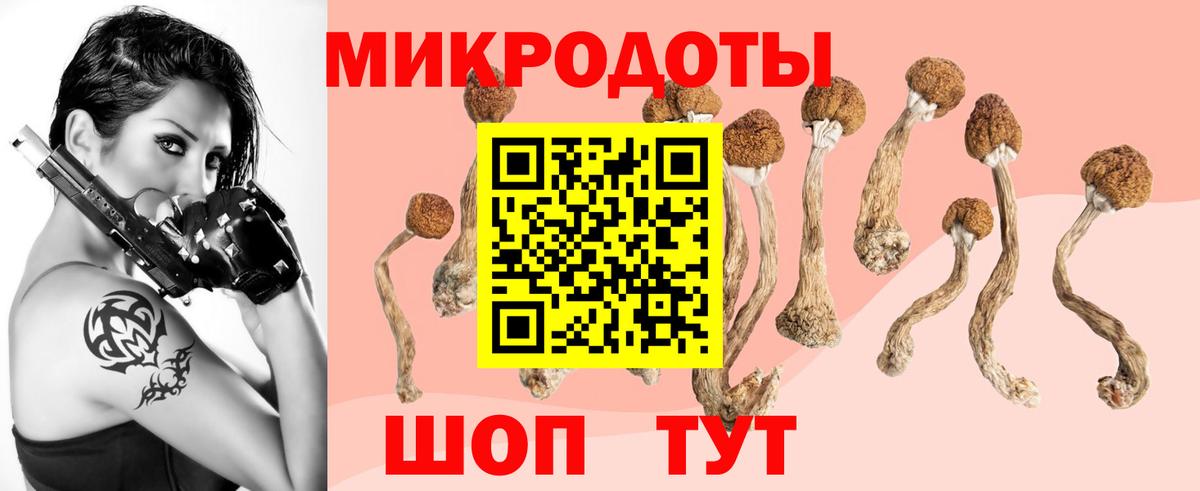 Галлюциногенные грибы Magic Shrooms  Псилоцибиновые грибы MAGIC MUSHROOMS  Вход с VPN  Янаул 